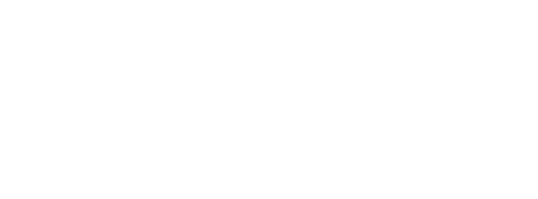 Synapse Solutions